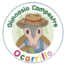Ocarillo